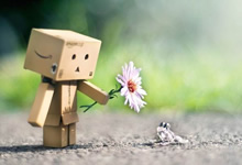 不经过WordPress后台的“插件”选项而激活（开启）某插件