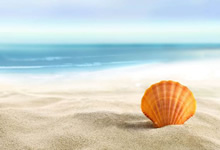 系统优化清理软件 Advanced System Optimizer v3.9.3700 中文破解版下载