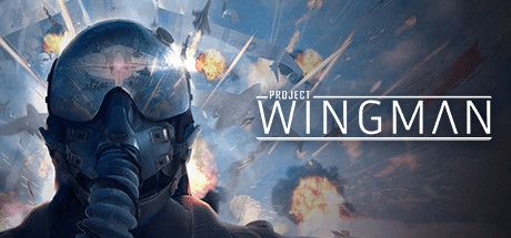 僚机计划 v0.40.20.1210.3303（Project Wingman）免安装中文版 