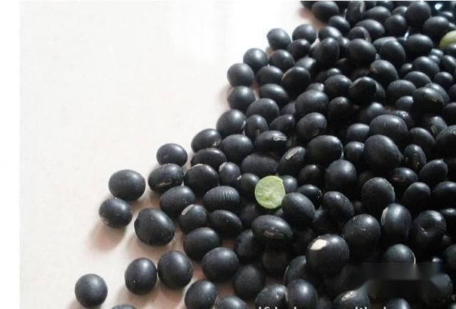 青仁黑豆的功效和作用！